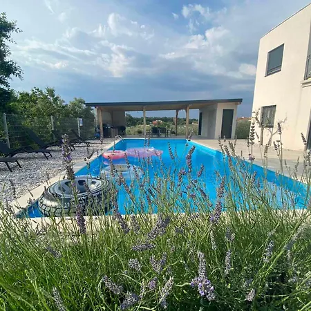Enjoy Blue, With Pool & Pets Welcome Novigrad (Istria)
