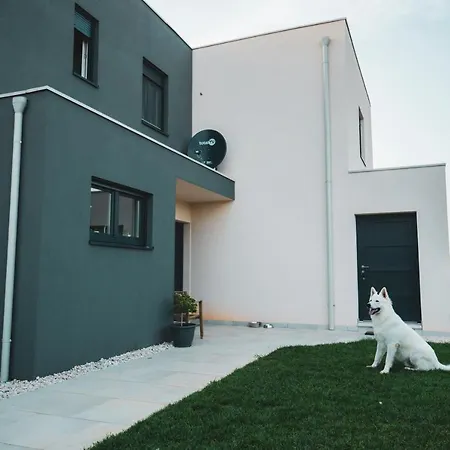 Enjoy Blue, With Pool & Pets Welcome Apartment Novigrad (Istria)