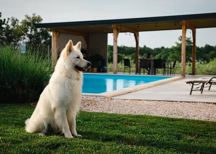 Enjoy Blue, With Pool & Pets Welcome شقة *