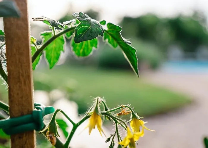 Enjoy Blue, With Pool & Pets Welcome Apartament