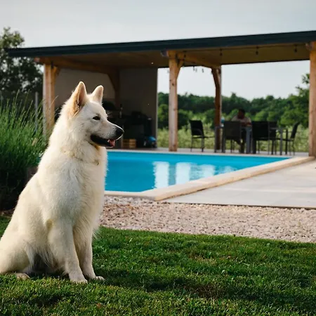 Enjoy Blue, With Pool & Pets Welcome Apartmán *