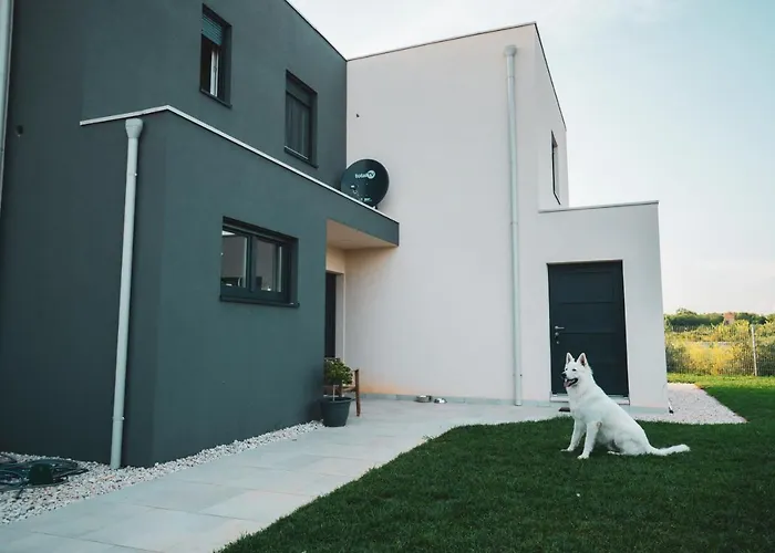 Enjoy Blue, With Pool & Pets Welcome Daire Novigrad Istria